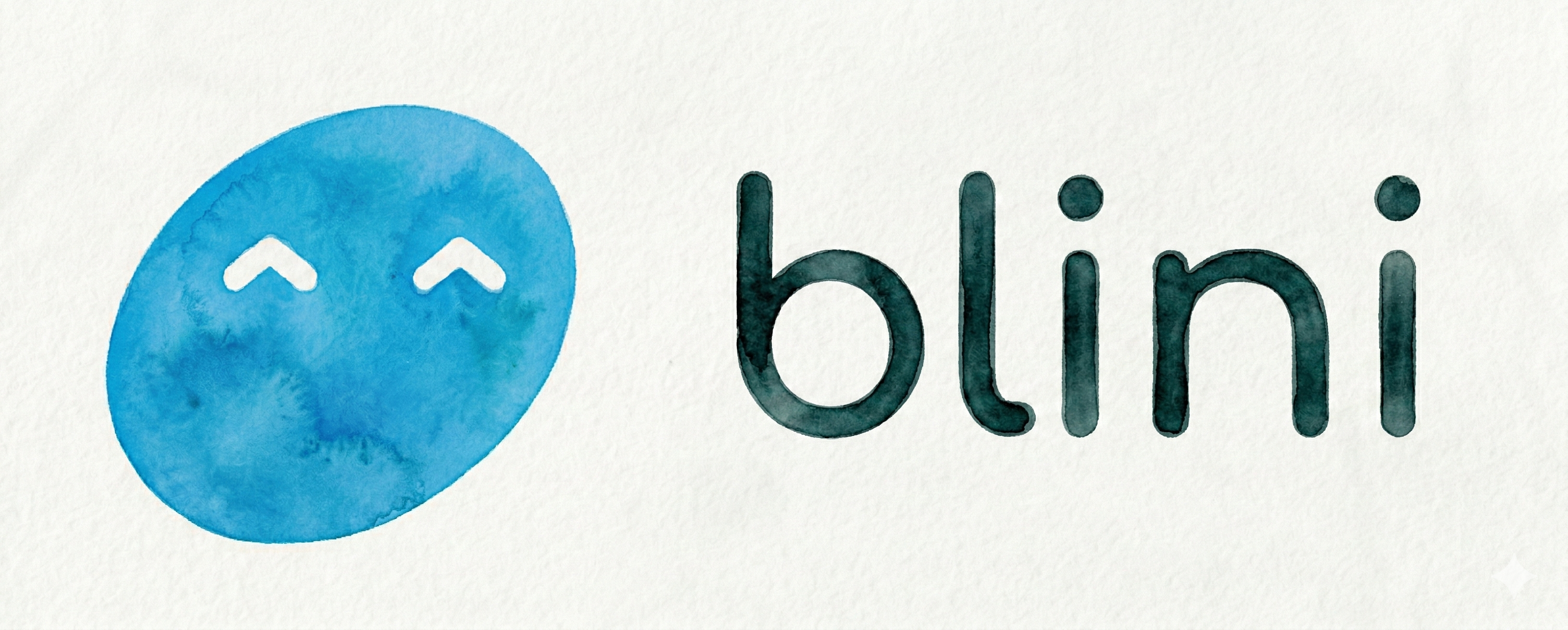 Blini: making practice visible